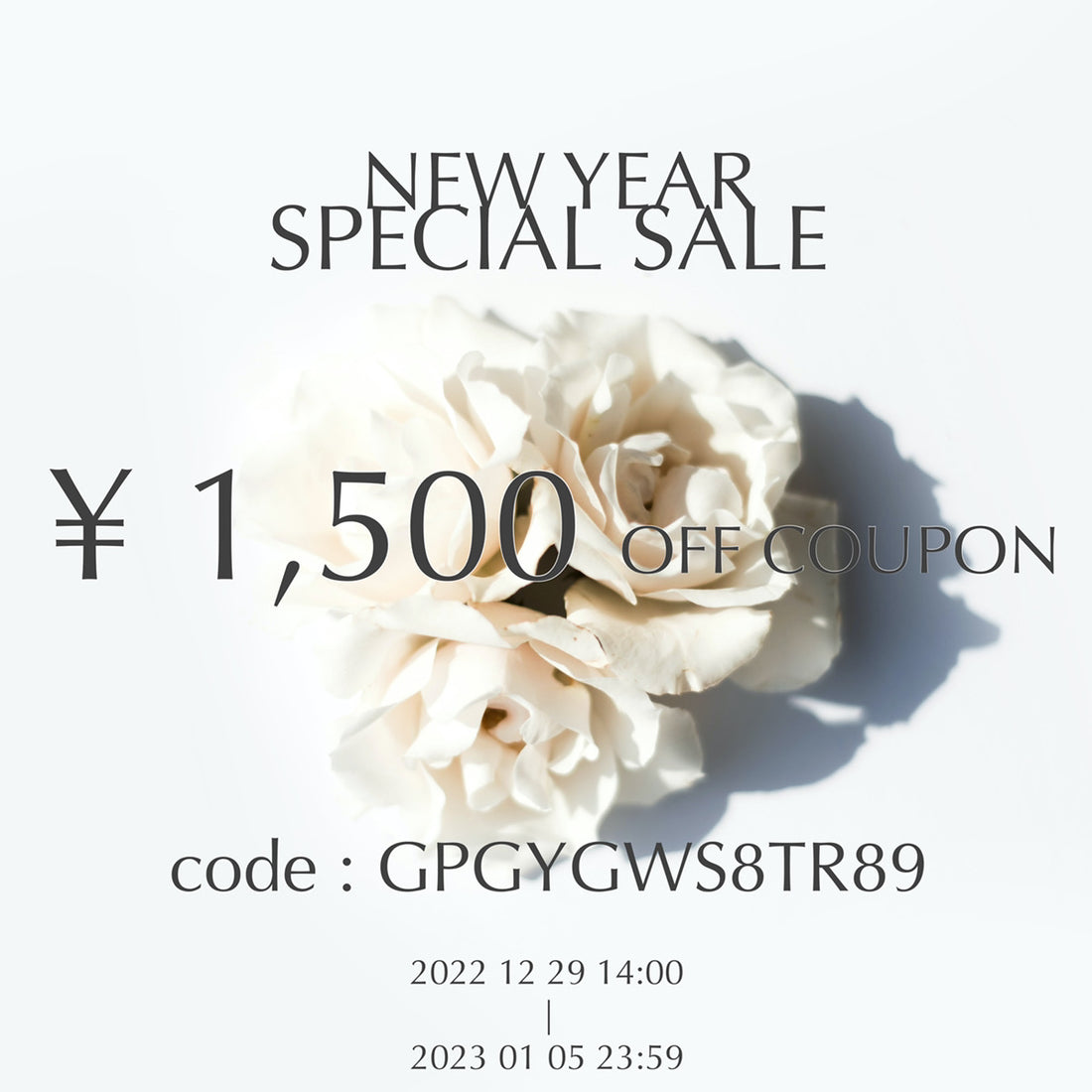 NEW YEAR SPECIAL SALE